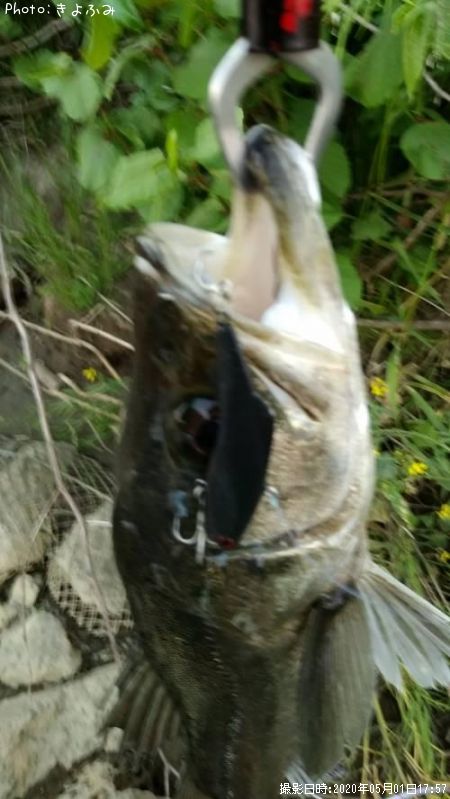 �����Х�