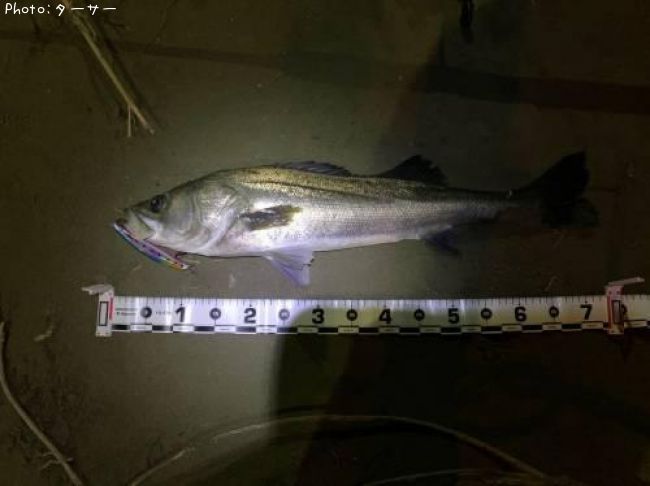 �����Х�