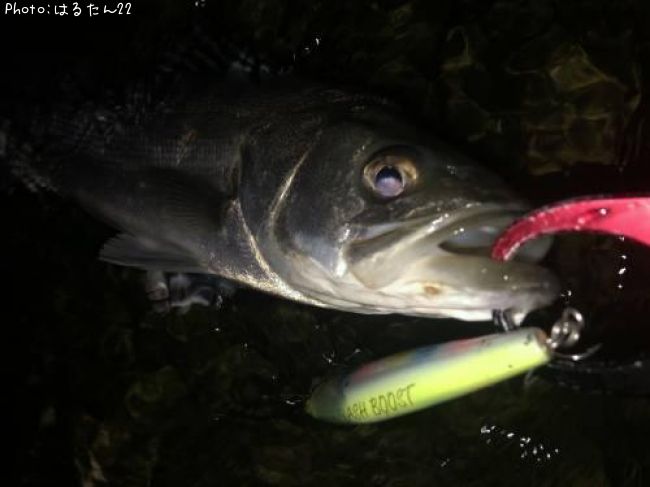 �����Х�