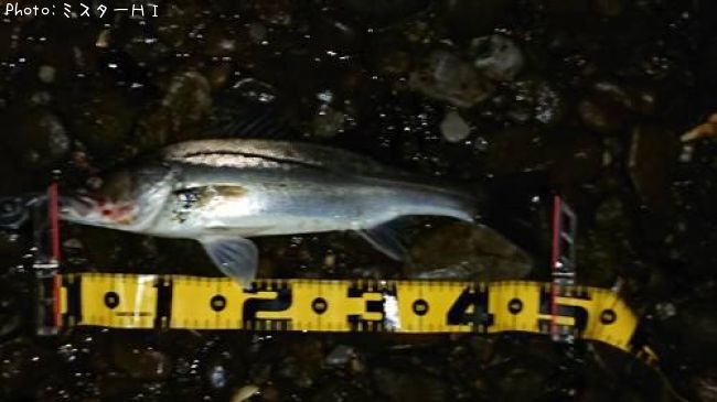 �����Х�