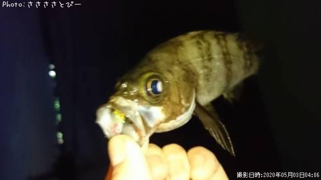 ��Х�������Х�����饽��