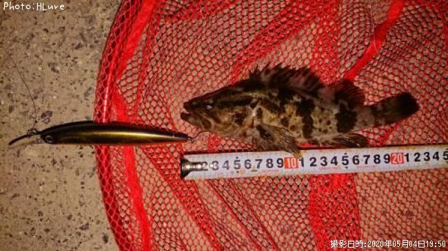 �����Υ���Х�