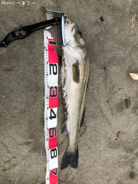 �����ե����Х�