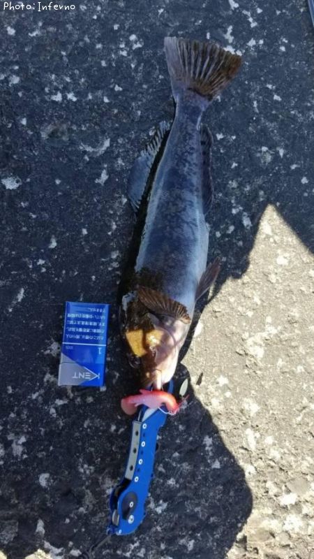 �����ʥ�