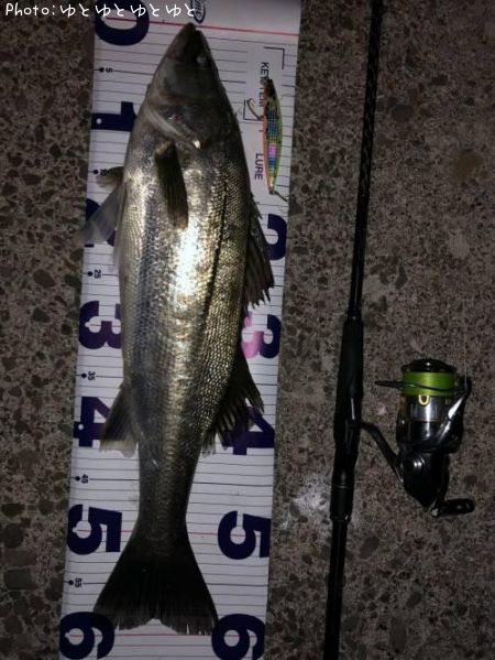 �����Х�