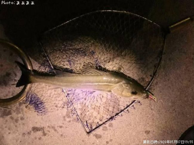 �����Х�