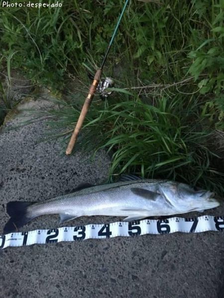 �����Х�