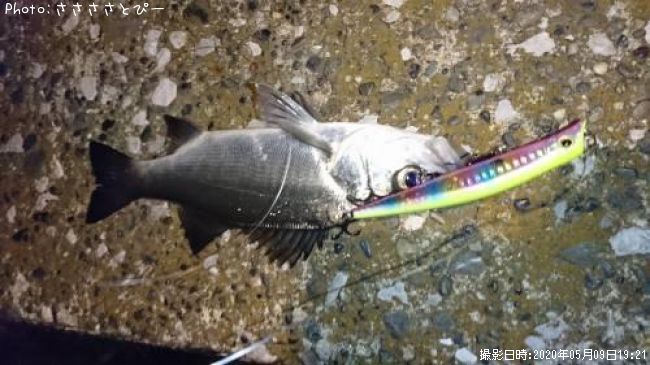 �����Х�