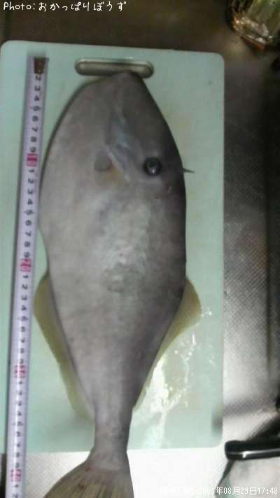 �����Хϥ�