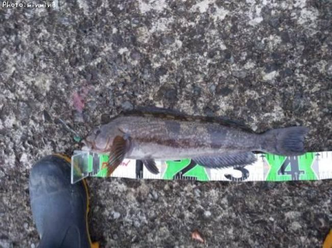 �����ʥ�