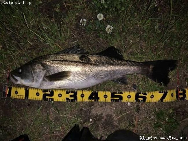 �����Х�