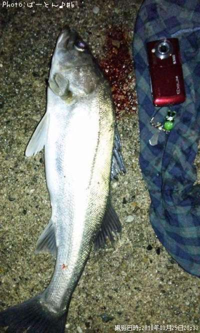 �����Х�