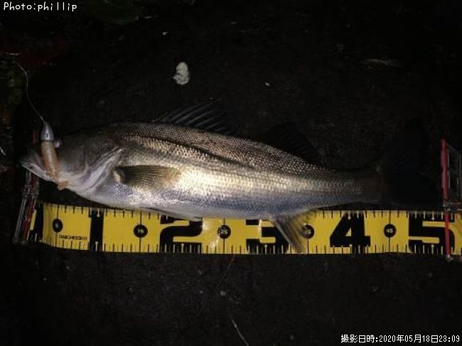 �����Х�