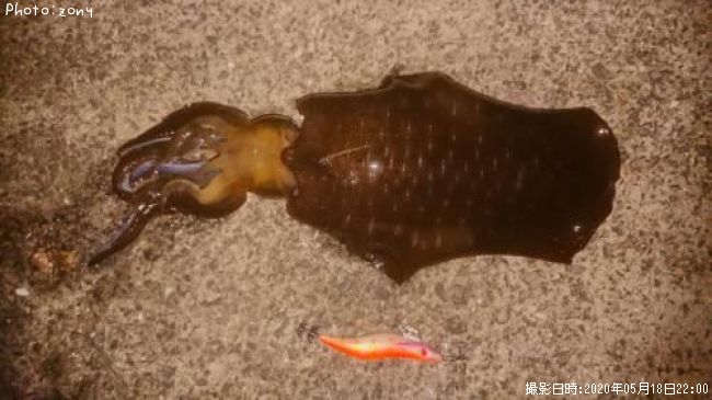 �����ꥤ��