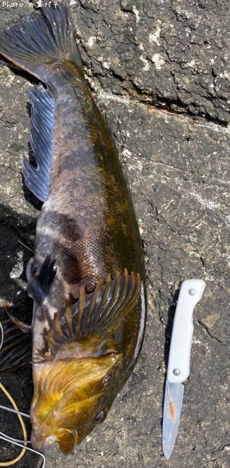 �����ʥ�