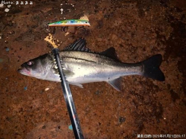 �����Х�