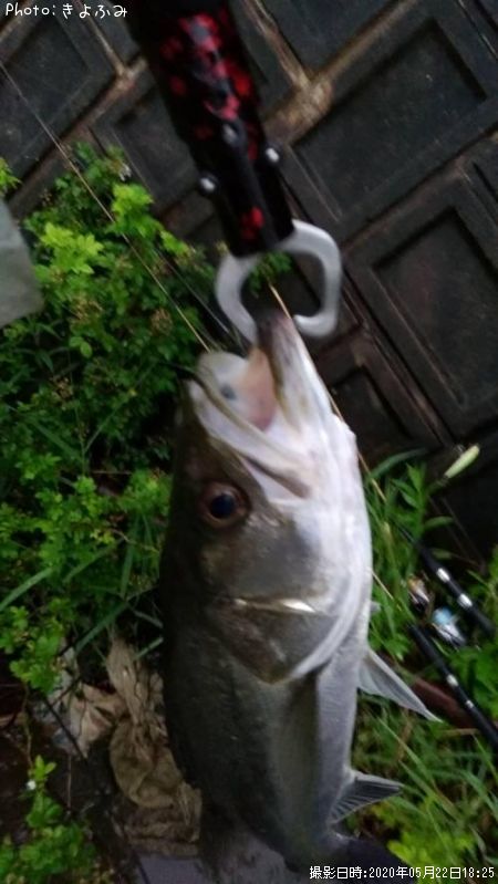 �����Х�