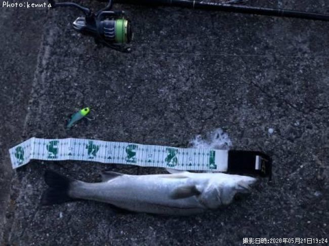 �����Х�