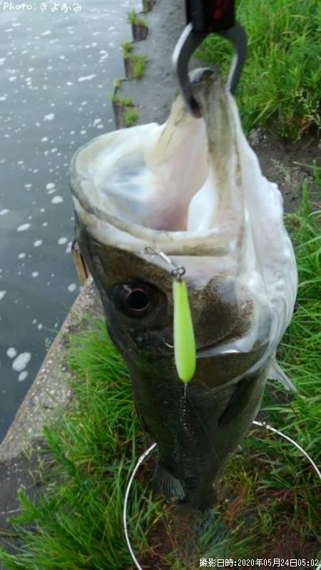 �����Х�