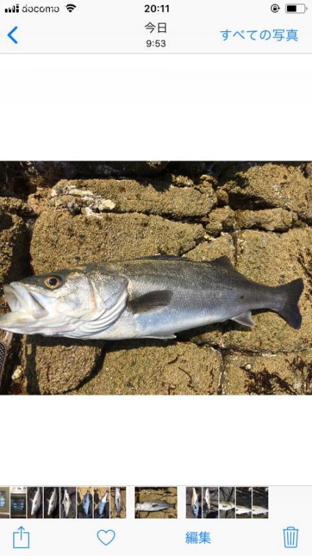 �����Х�