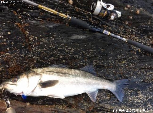 �����Х�