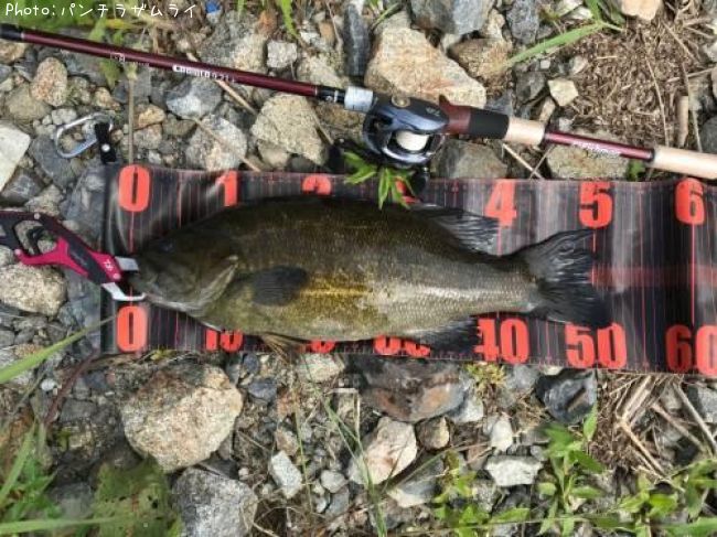 ���⡼��ޥ���