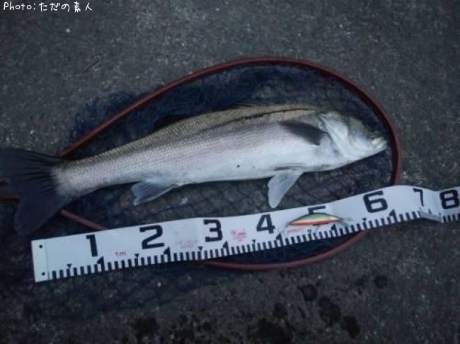 �����Х�