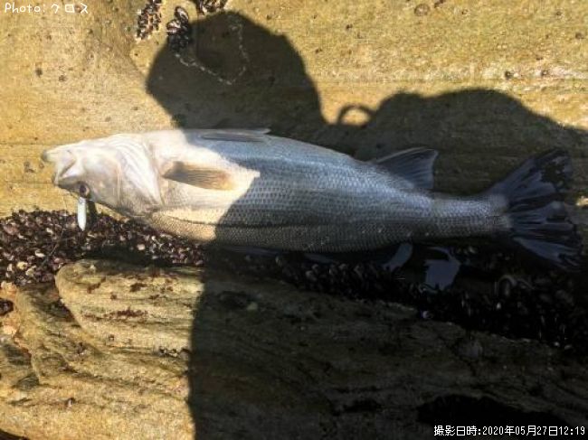 �����Х�