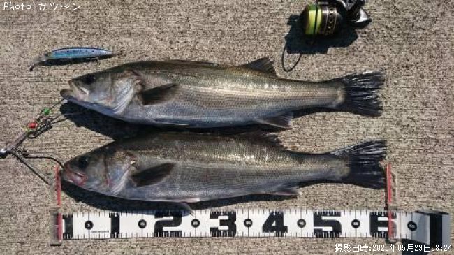 �����Х�