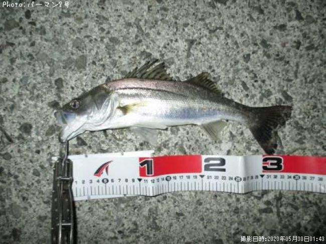 �����Х�