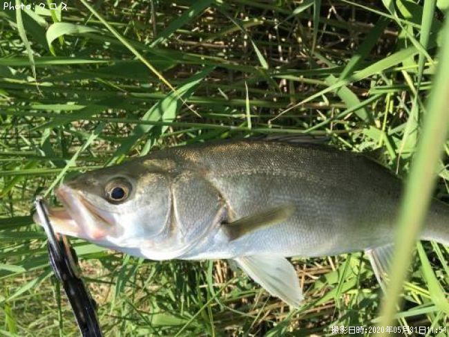 �����Х�