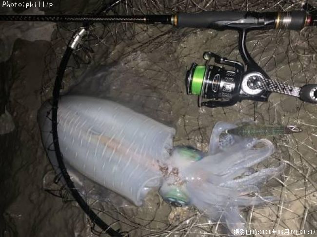 �����ꥤ��