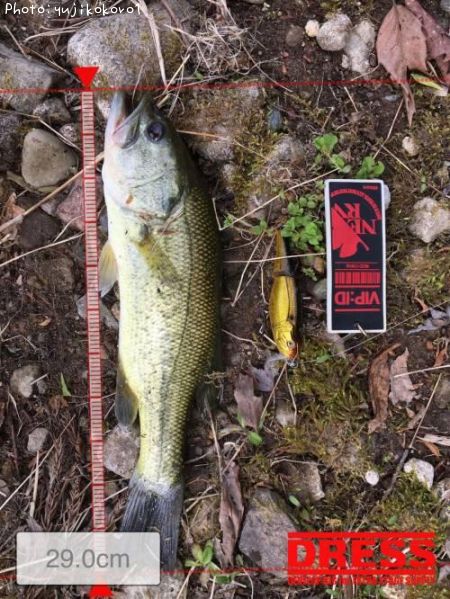 �֥�å��Х�