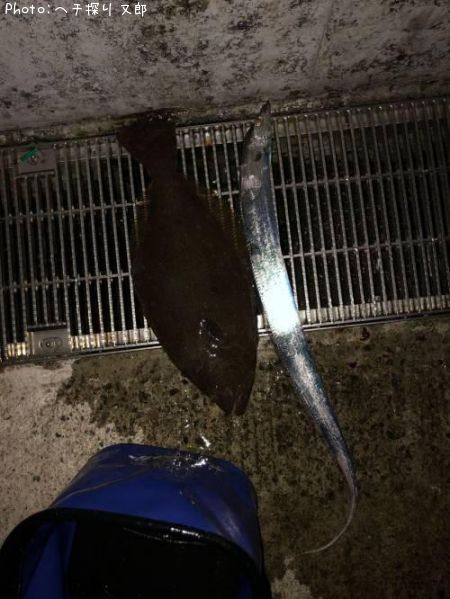 �����������ҥ��