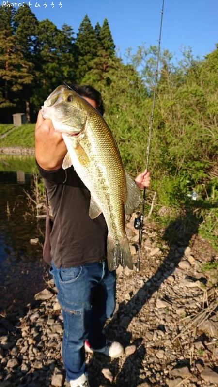 �֥�å��Х�