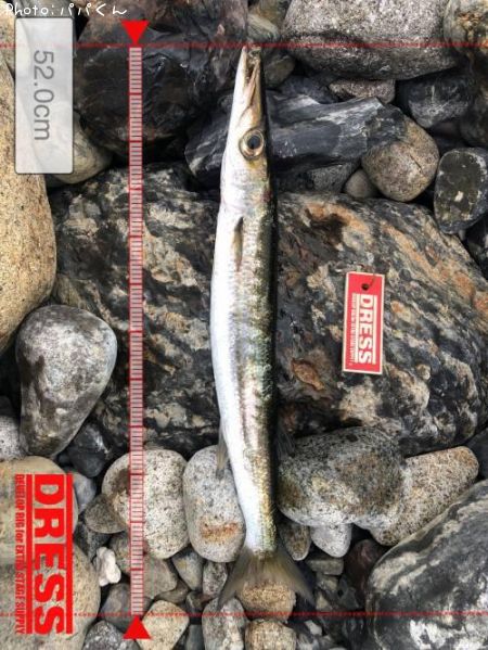 ������󥫥ޥ�