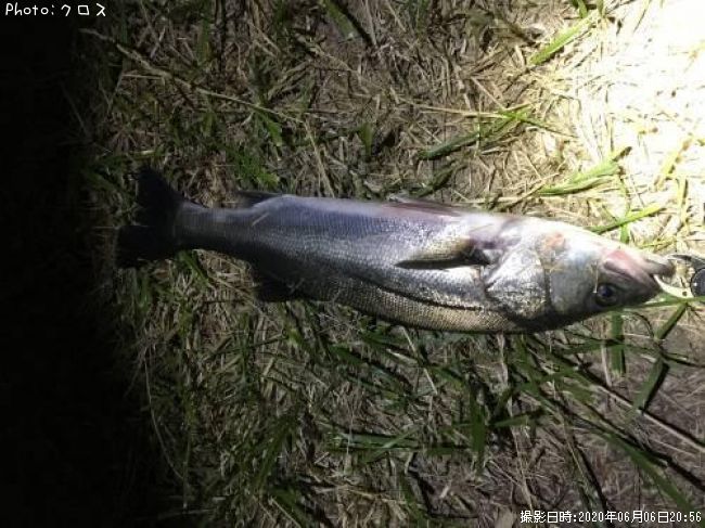 �����Х�