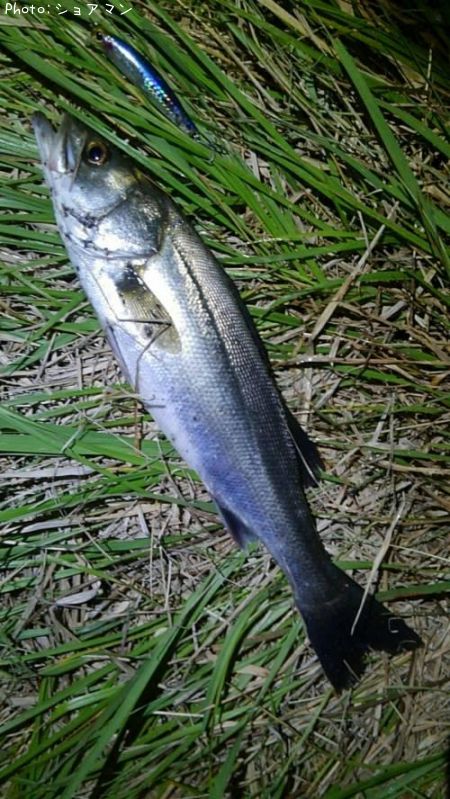 �����Х�