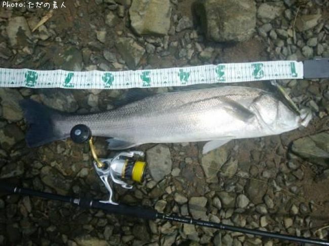 �����Х�