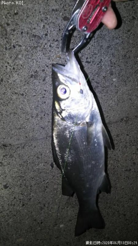 �����Х�