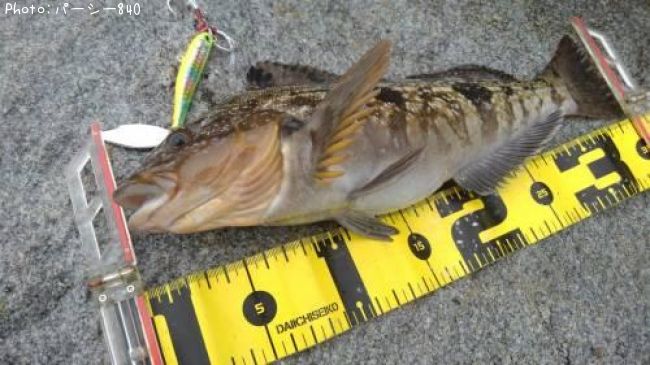 �����ʥ�