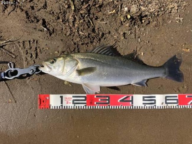 �����Х�