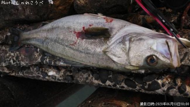 �����Х�