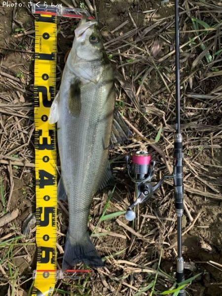 �����Х�