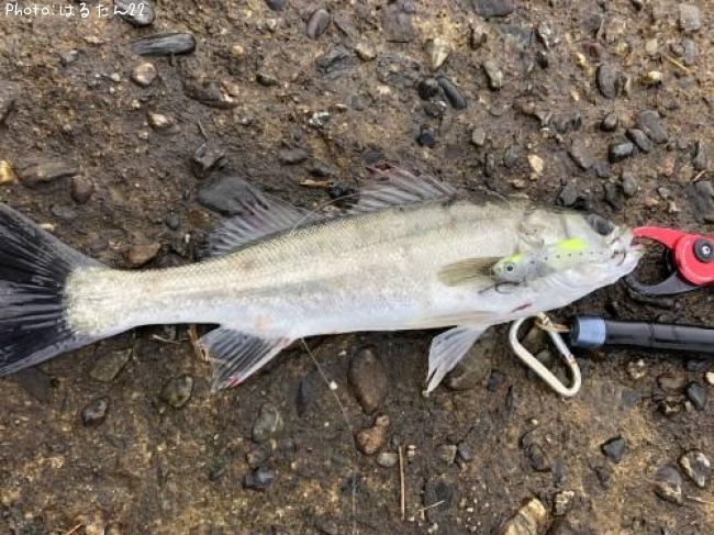 �����Х�