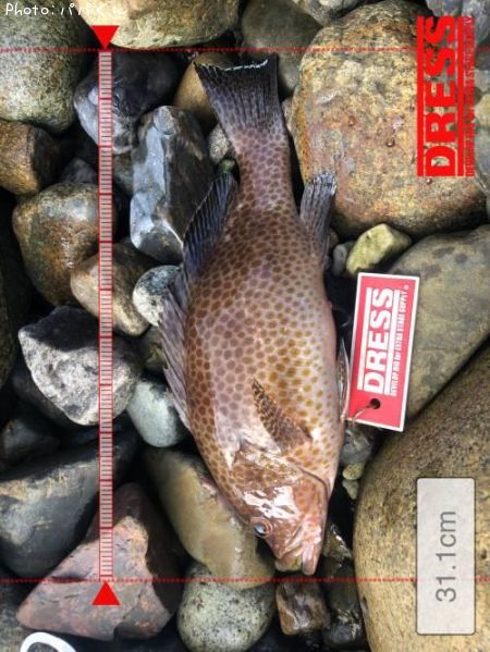 �������ϥ�