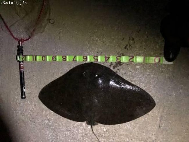 �ĥХ�������