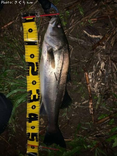 �����Х�