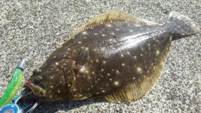 �ҥ��ʥ�����