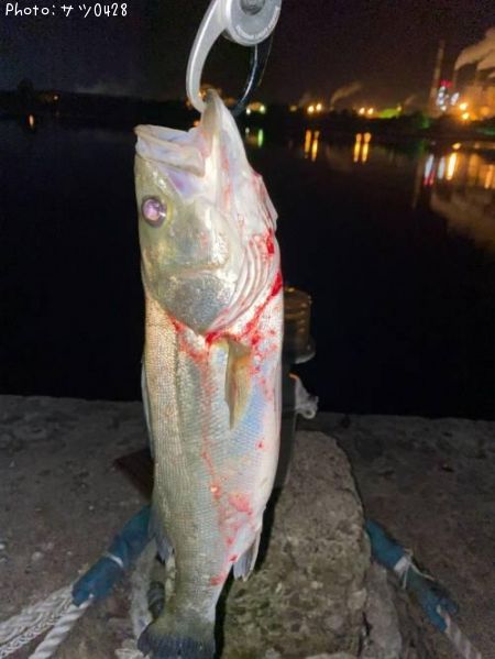 �����Х�